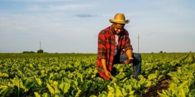 Agriculture, Livestock & Fisheries